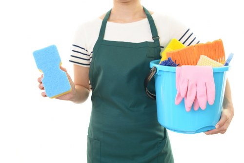 Professional cleaner working in a Brixton home