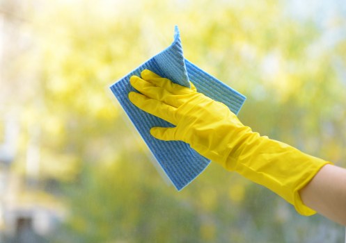 Regular cleaning service for Brixton homes and flats