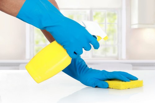 Technician performing deep mattress cleaning in a Brixton home