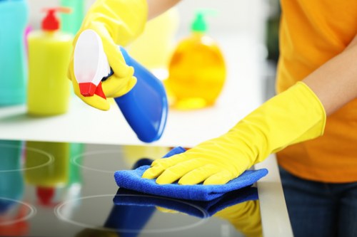 Upholstery deep cleaning for a fabric sofa