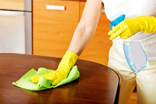 Local upholstery cleaning service for homes and businesses in Brixton